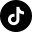 TikTok Icon